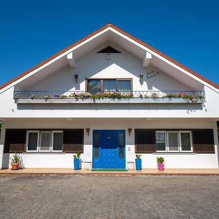 Refugio Rural - Eco Villa カルダス・ダ・ライーニャ エクステリア 写真